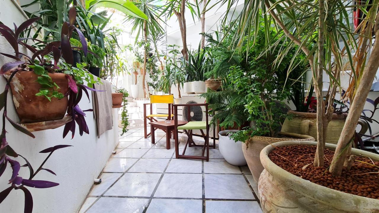 Khella Hammamet